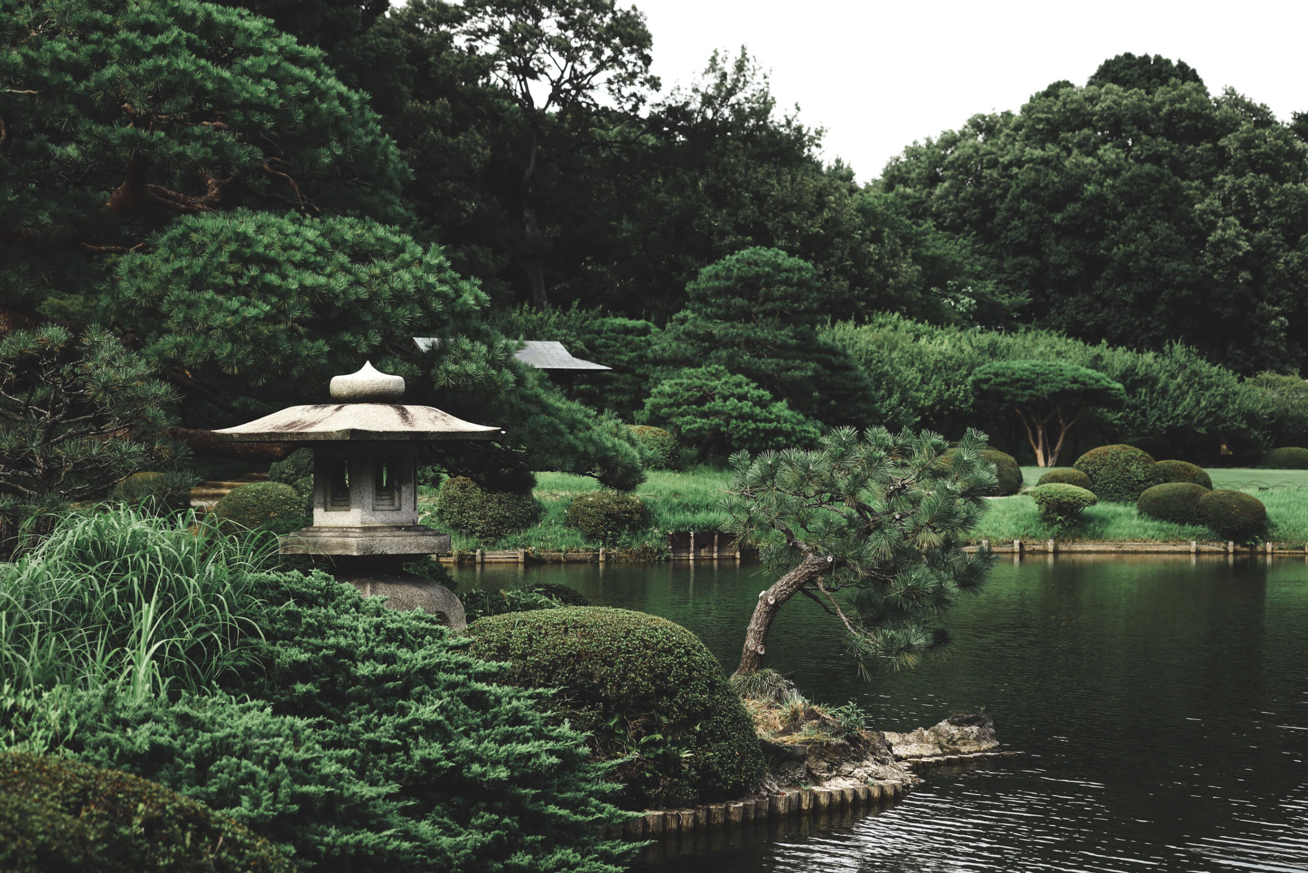 Zen Garden Trees landscaper-gallery-04